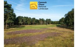 Beau Desert GC logo