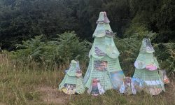 Trees on CCNL resize enews