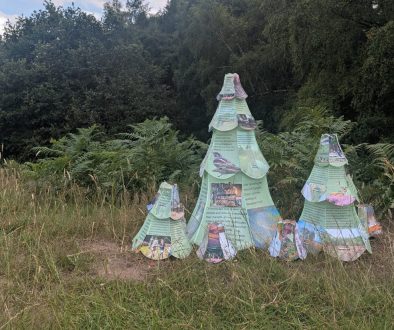 Trees on CCNL resize enews