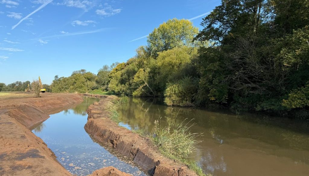 River Restoration 02 Victoria Bunter River Restoration 02 Victoria Bunter