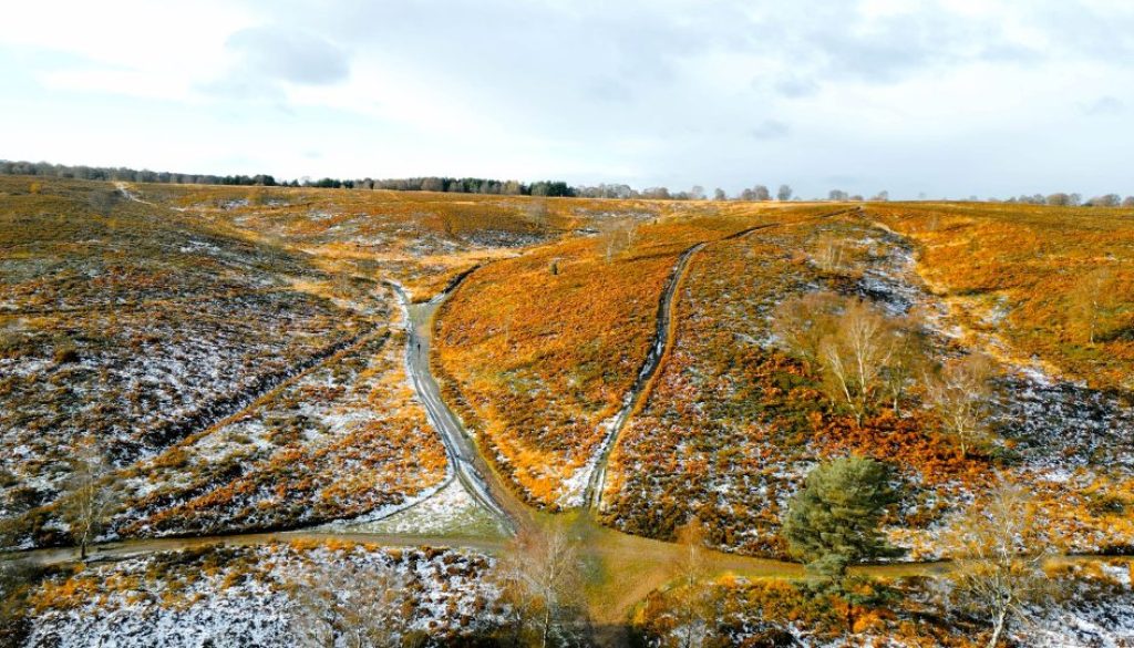 Frosty orange chase resize