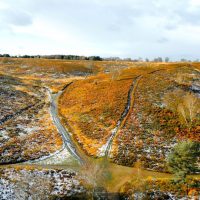 Frosty orange chase resize