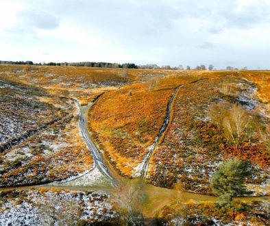 Frosty orange chase resize