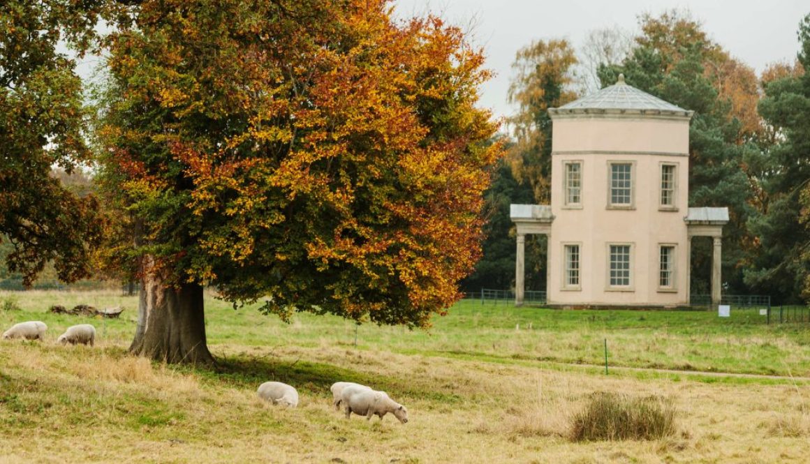 Shugbrough with tree resize