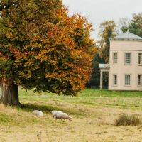 Shugbrough with tree resize