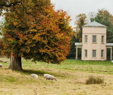 Shugbrough with tree resize