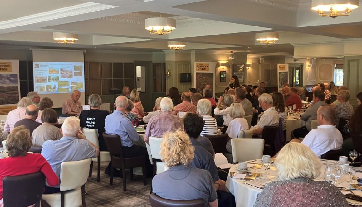 Annual Conference resize